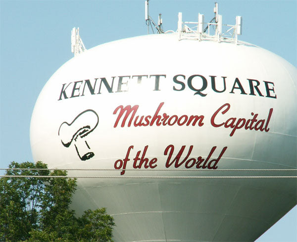 Chester County: Center of the Mushroom Growing Universe