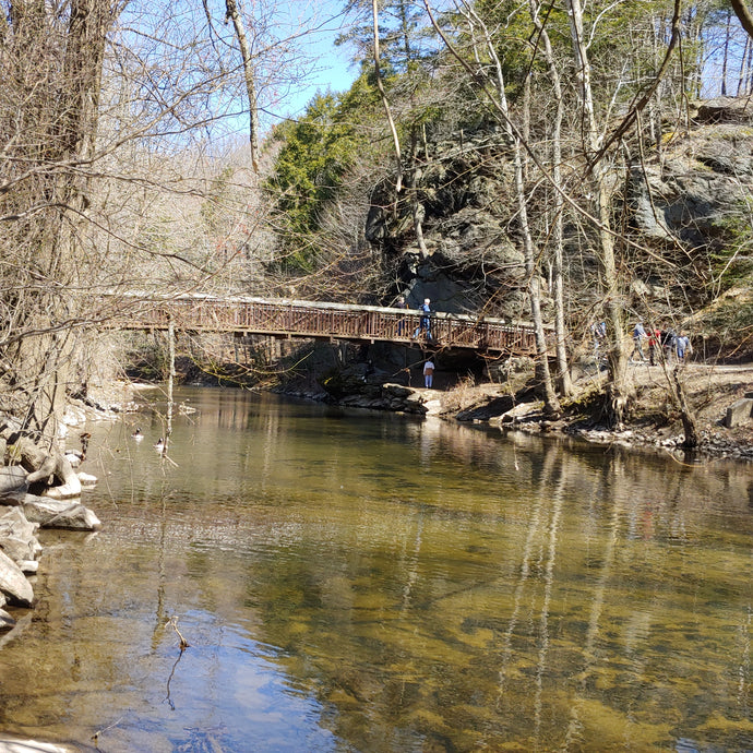 Lorimer Park: The Surprising Treat of Abington