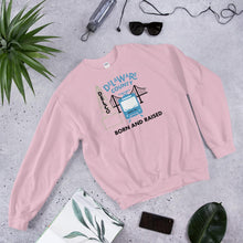 Load image into Gallery viewer, Delaware County Born and Raised Sweatshirt - The Pennsylvania T-Shirt Company