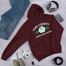 Load image into Gallery viewer, York County Born and Raised Hoodie - The Pennsylvania T-Shirt Company