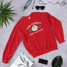 Load image into Gallery viewer, York County Born and Raised Sweatshirt - The Pennsylvania T-Shirt Company