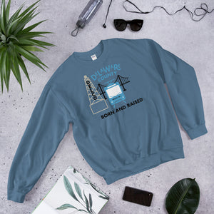 Delaware County Born and Raised Sweatshirt - The Pennsylvania T-Shirt Company
