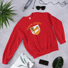 Load image into Gallery viewer, Chester County Mushroom Colt Sweatshirt - The Pennsylvania T-Shirt Company