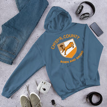 Load image into Gallery viewer, Chester County Born and Raised Hoodie - The Pennsylvania T-Shirt Company