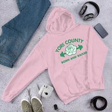 Load image into Gallery viewer, York County Born and Raised Hoodie - The Pennsylvania T-Shirt Company