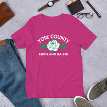 Load image into Gallery viewer, York County Born and Raised Men&#39;s T-Shirt - The Pennsylvania T-Shirt Company