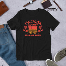 Load image into Gallery viewer, Lancaster County Born and Raised Men&#39;s T-Shirt - The Pennsylvania T-Shirt Company