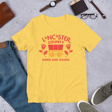 Load image into Gallery viewer, Lancaster County Born and Raised Men&#39;s T-Shirt - The Pennsylvania T-Shirt Company